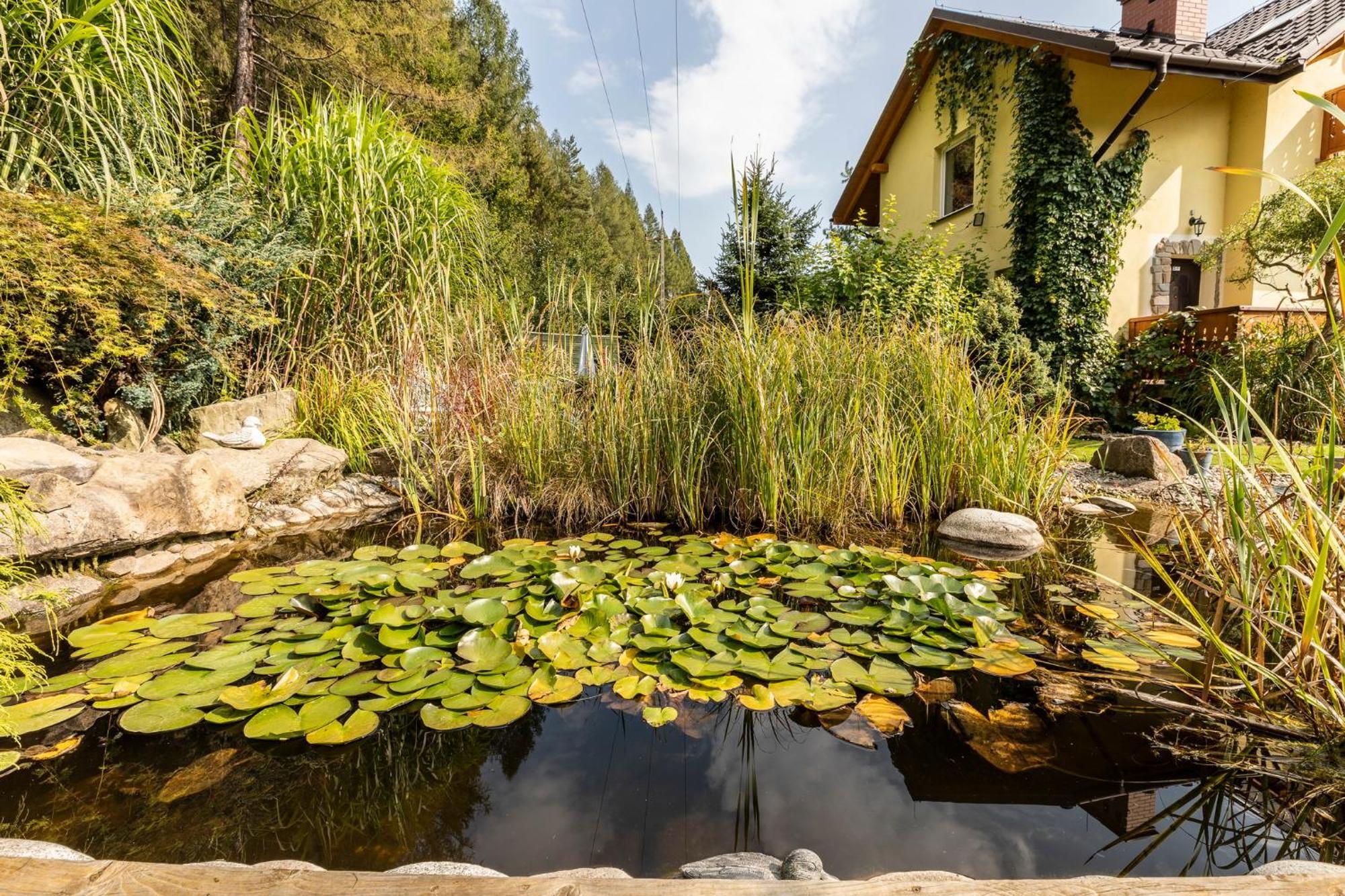 Apartamenty Zielona Owieczka Niedzica Dış mekan fotoğraf
