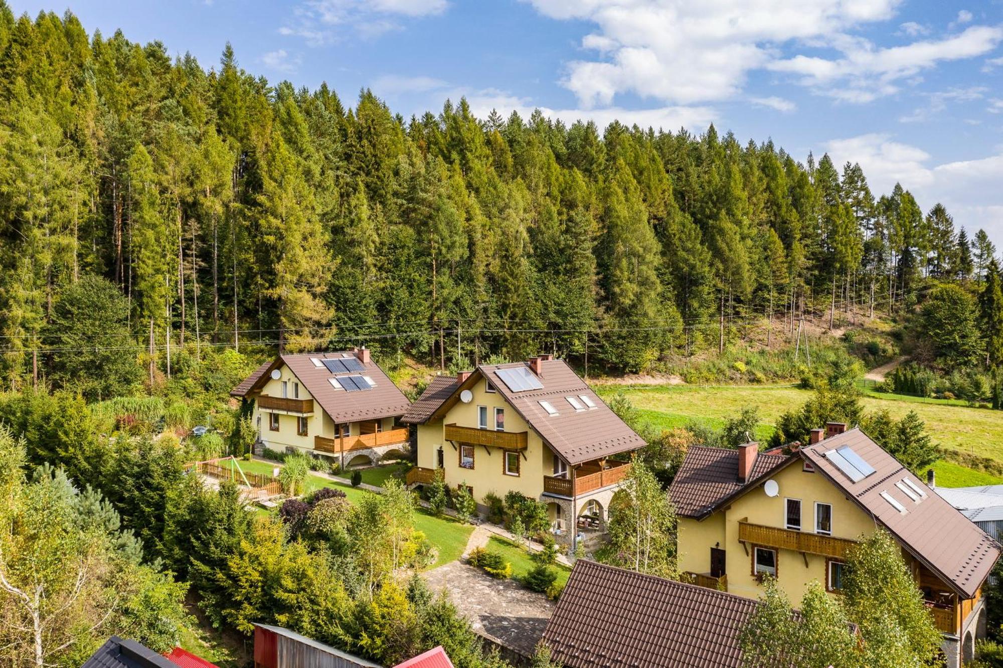 Apartamenty Zielona Owieczka Niedzica Dış mekan fotoğraf
