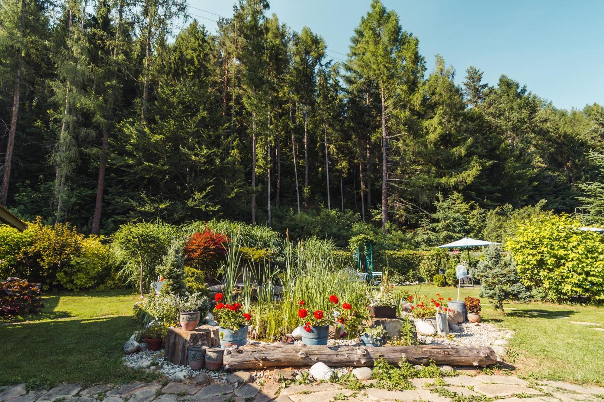 Apartamenty Zielona Owieczka Niedzica Dış mekan fotoğraf